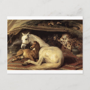 De Arabische Tent van Edwin Henry Landseer Briefkaart