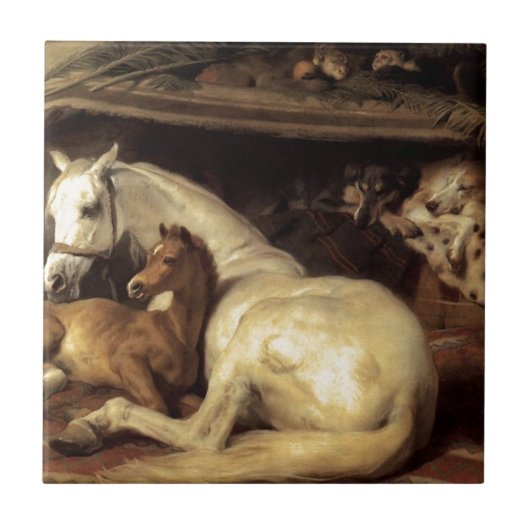 De Arabische Tent van Edwin Henry Landseer Tegeltje (Voorkant)