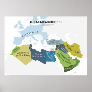 De Arabische winter Poster