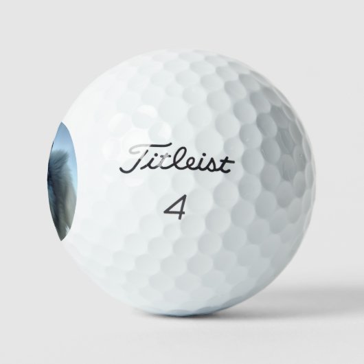 De Arctische Wolf, Golf Balls Golfballen (Logo)