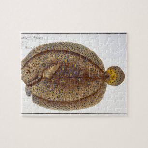 De Argus Flounder (Pleuronectes Argus) bord XLVI Legpuzzel