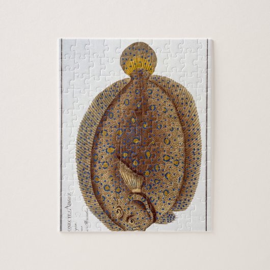De Argus Flounder (Pleuronectes Argus) bord XLVI Legpuzzel (Verticaal)