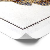 De Argus Flounder (Pleuronectes Argus) bord XLVI Poster (Hoek)