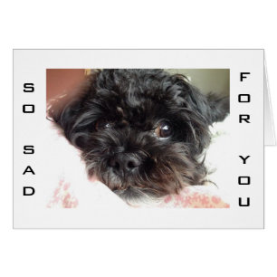 DE ARME DOG IS ZO SAD U R TURNING 40