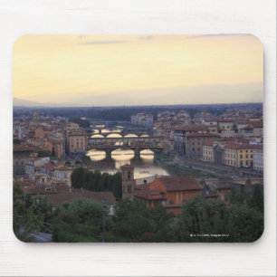 De Arno en de Ponte Vecchio in Florence, Muismat
