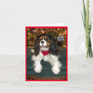 De arrogante Kerstkaart van Charles Spaniel van de Feestdagen Kaart