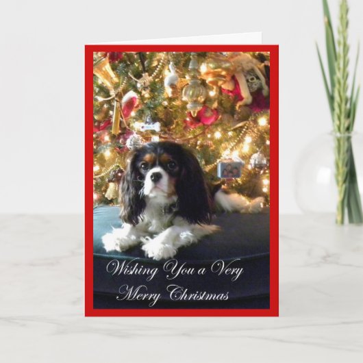 De arrogante Kerstkaart van Charles Spaniel van de Feestdagen Kaart (Voorkant)