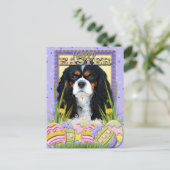 De Arrogante Koekjes van het Paasei - - tri-Kleur Feestdagenkaart (Staand voorkant)