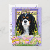 De Arrogante Koekjes van het Paasei - - tri-Kleur Feestdagenkaart (Voorkant / Achterkant)