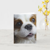 De Arrogante Koning Charles Blank Note Card van Kaart (Gele Bloem)