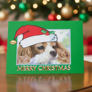 De Arrogante Koning Charles Spaniel Card van Feestdagen Kaart