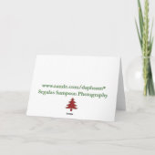 De Arrogante Koning Charles Spaniel Card van Feestdagen Kaart (Achterkant)