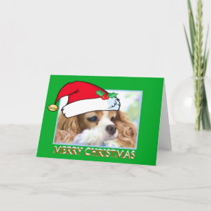 De Arrogante Koning Charles Spaniel Card van Feestdagen Kaart