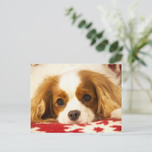De Arrogante Koning Charles Spaniel Postcard van Briefkaart (Staand voorkant)