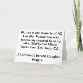 De arrogante Wensen van de Verjaardag Kaart (Achterkant)