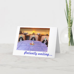 De arrogante Wensen van de Verjaardag Kaart