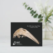 De Arroyo Grey Whale van 2010 - Voetafdrukken van  Briefkaart (Staand voorkant)