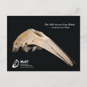 De Arroyo Grey Whale van 2010 - Voetafdrukken van Briefkaart