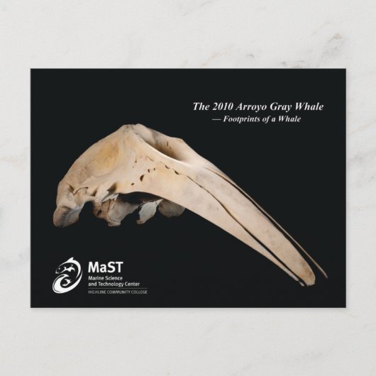 De Arroyo Grey Whale van 2010 - Voetafdrukken van  Briefkaart (Voorkant)