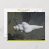 De As Shell van Maui, Briefkaart (Voorkant / Achterkant)