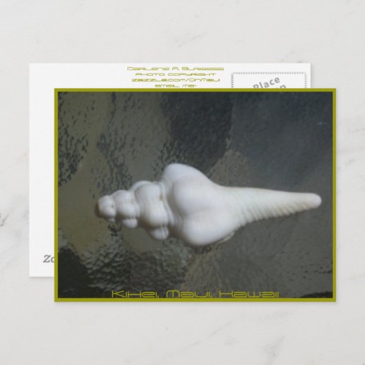 De As Shell van Maui, Briefkaart (Voorkant / Achterkant)