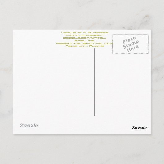 De As Shell van Maui, Briefkaart (Achterkant)