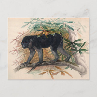 De Ashy-Black Ape van Joseph Wolf Briefkaart