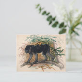 De Ashy-Black Ape van Joseph Wolf Briefkaart (Staand voorkant)