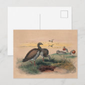 De Ashy-Headed gans van Joseph Wolf Briefkaart (Voorkant / Achterkant)