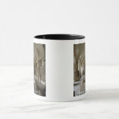 De Assyrische Kamer bij het Louvre in Parijs (foto Mok (Midden)