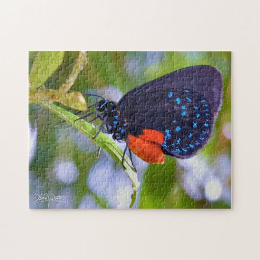 De Atala Legpuzzel (Horizontaal)
