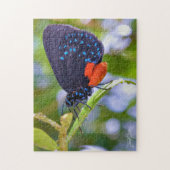 De Atala Legpuzzel (Verticaal)