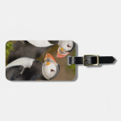 De Atlantische papegaai Bagagelabel (Voorkant horizontaal)