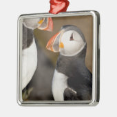 De Atlantische papegaai Metalen Ornament (Links)