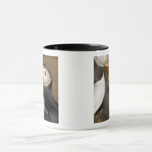 De Atlantische papegaai Mok (Midden)