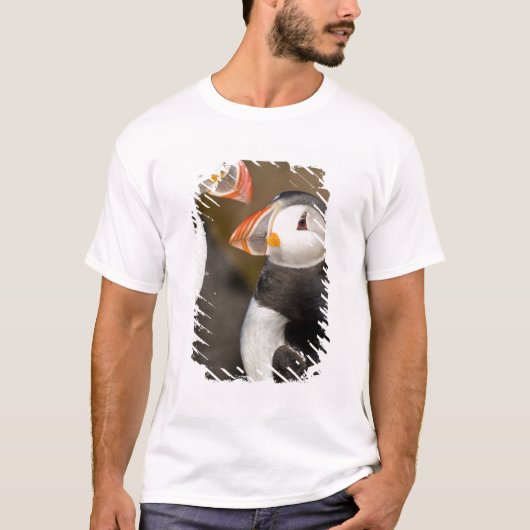 De Atlantische papegaai T-shirt (Voorkant)