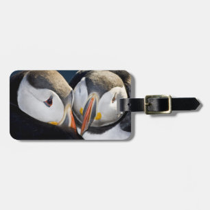 De Atlantische Papegaaiduiker, een pelagische zeev Bagagelabel