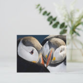 De Atlantische papegaaiduiker, een pelagische zeev Briefkaart (Staand voorkant)