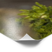 De Atlantische papegaaiduiker, een pelagische zeev Foto Afdruk (Hoek)