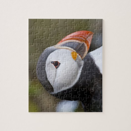 De Atlantische papegaaiduiker, een pelagische zeev Legpuzzel (Verticaal)