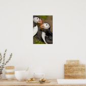 De Atlantische Papegaaiduiker Poster (Keuken)