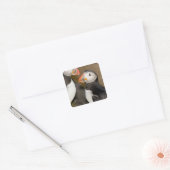 De Atlantische Papegaaiduiker Vierkante Sticker (Envelop)