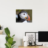 De Atlantische Puffin, een pelagische zeevogel, ge Poster (Thuiskantoor)