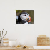 De Atlantische Puffin, een pelagische zeevogel, ge Poster (Keuken)