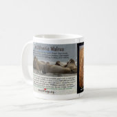 De Atlantische Walrus is bedreigd Koffiemok (Voorkant links)