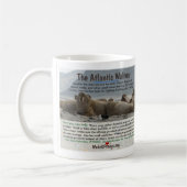 De Atlantische Walrus is bedreigd Koffiemok (Links)