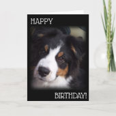 De Aussie Dog Birthday Kaart A1 (Voorkant)