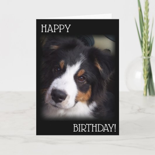 De Aussie Dog Birthday Kaart A1 (Voorkant)