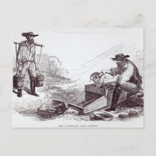 De Australische Gold Diggers Briefkaart (Voorkant)