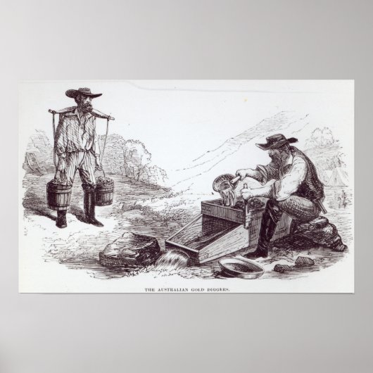 De Australische Gold Diggers Poster (Voorkant)